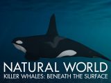 Natural World, Killer Whales